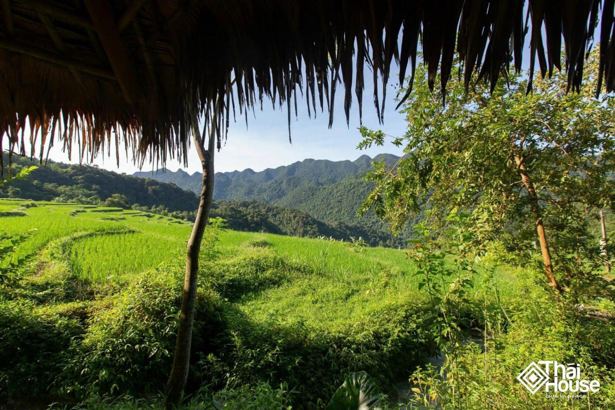 Thai House Pu Luong - Century Old Stilt House With Terrace Views Huong Ba Thuoc Exteriör bild