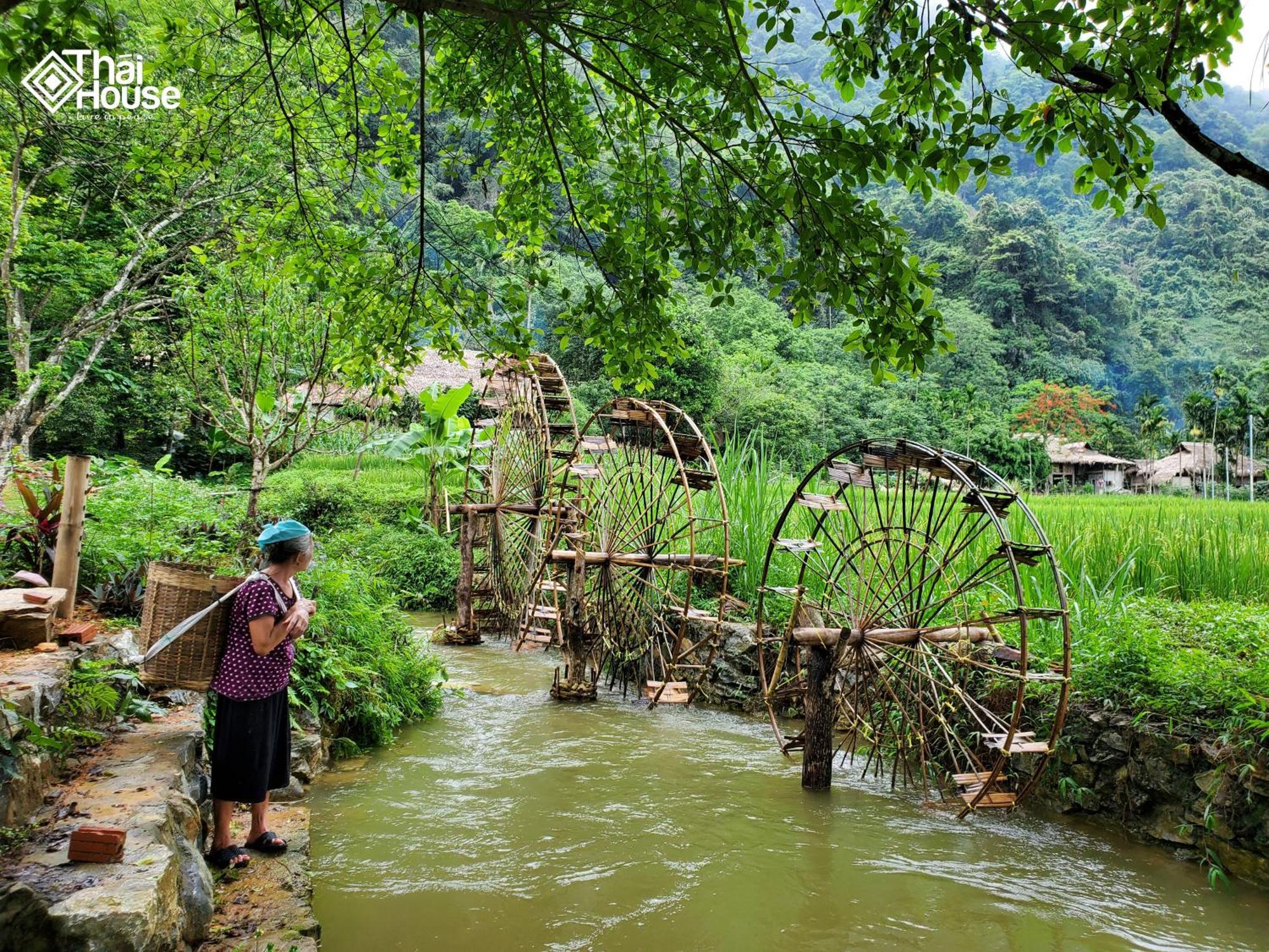 Thai House Pu Luong - Century Old Stilt House With Terrace Views Huong Ba Thuoc Exteriör bild