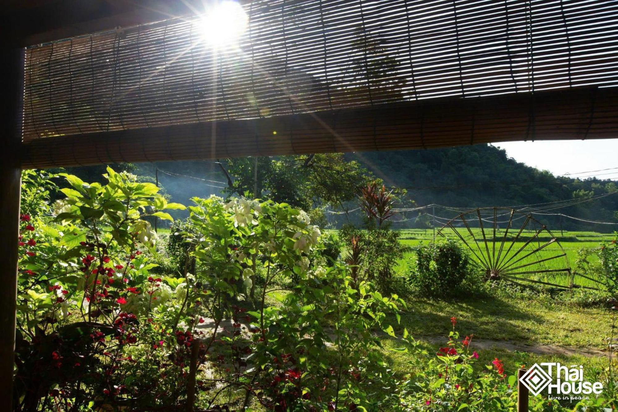 Thai House Pu Luong - Century Old Stilt House With Terrace Views Huong Ba Thuoc Exteriör bild