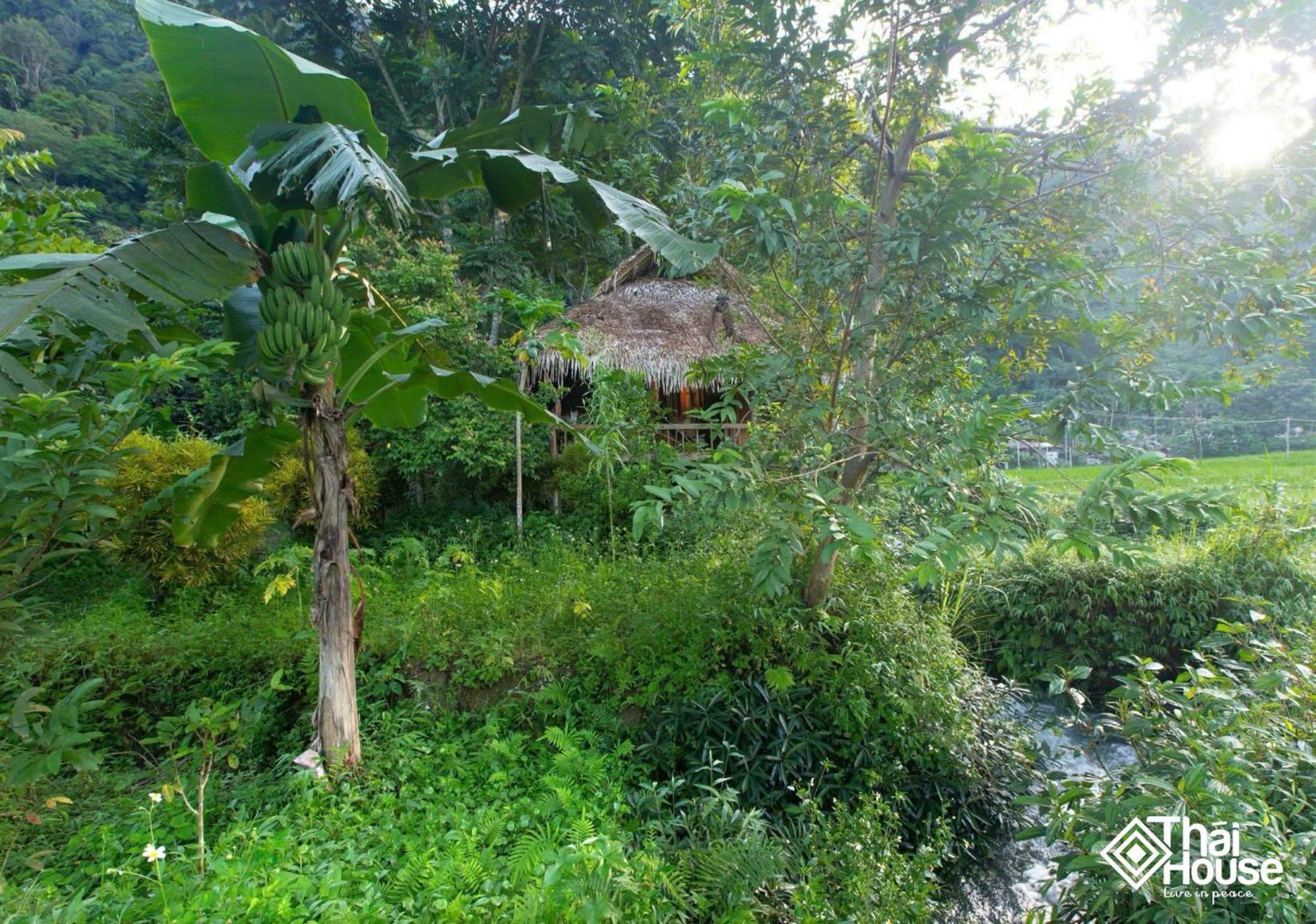 Thai House Pu Luong - Century Old Stilt House With Terrace Views Huong Ba Thuoc Exteriör bild
