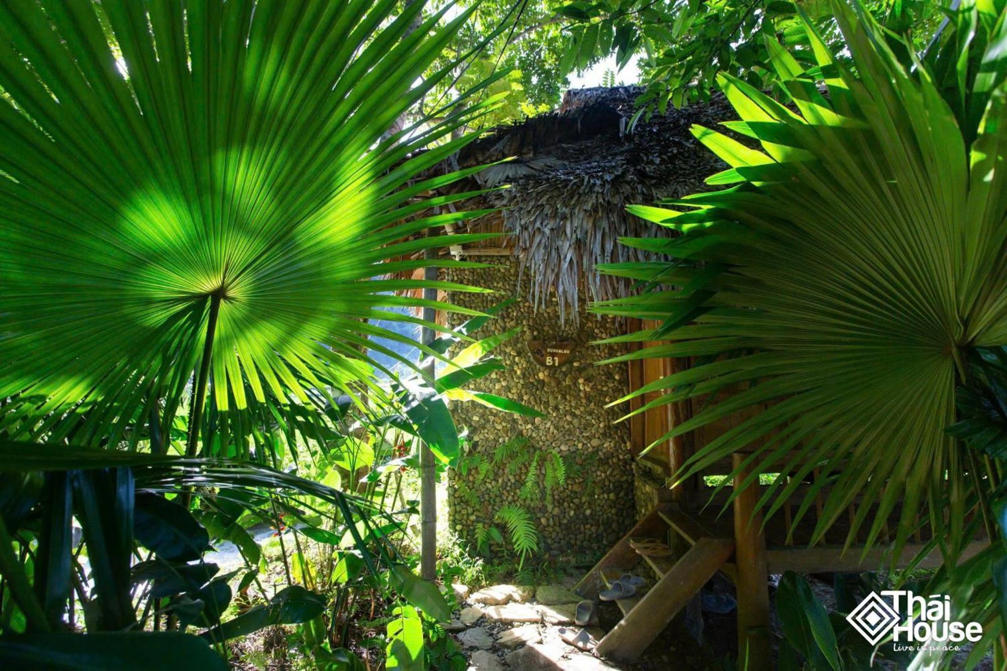 Thai House Pu Luong - Century Old Stilt House With Terrace Views Huong Ba Thuoc Exteriör bild