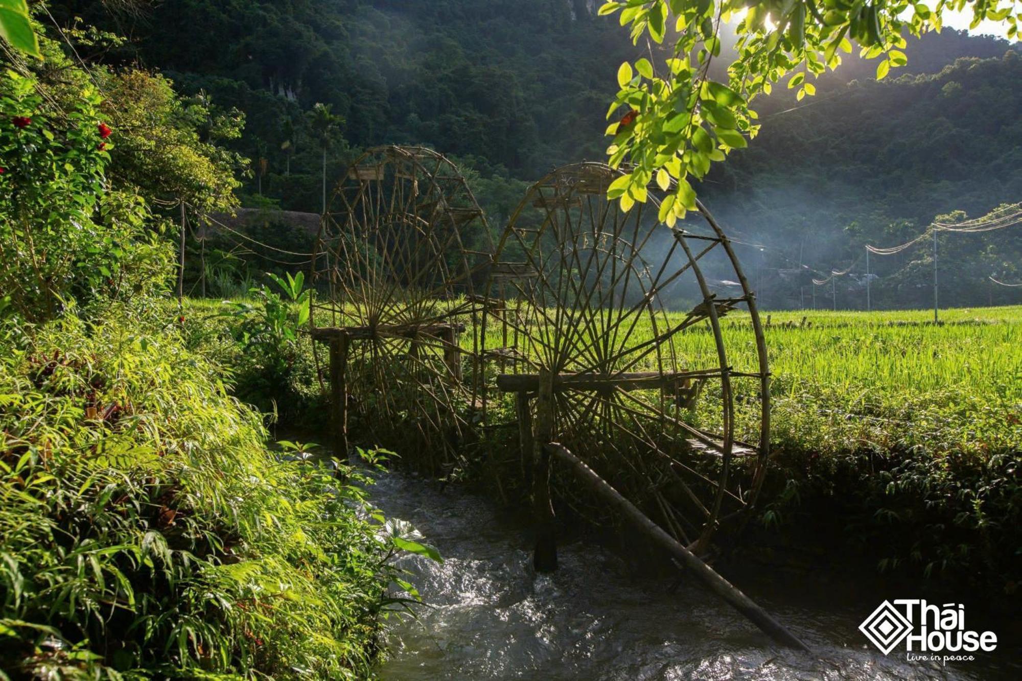 Thai House Pu Luong - Century Old Stilt House With Terrace Views Huong Ba Thuoc Exteriör bild