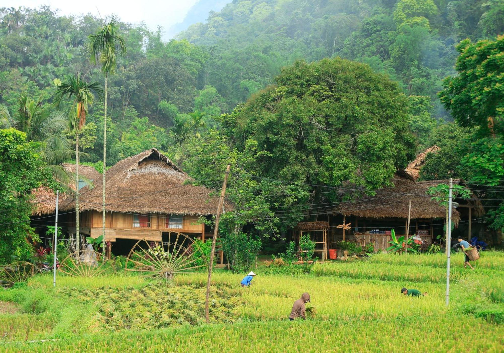 Thai House Pu Luong - Century Old Stilt House With Terrace Views Huong Ba Thuoc Exteriör bild